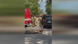 Driver injured after large tree falls onto passenger van in Holliston