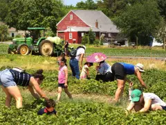 Are millennials really ‘killing’ U-pick farms? One Maine columnist thinks so.